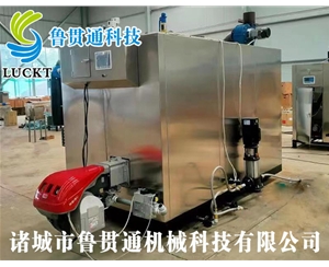 1噸燃?xì)猓ㄓ停┱羝l(fā)生器 現(xiàn)貨供應(yīng)，工廠直銷，規(guī)格型號眾多，可來電咨詢